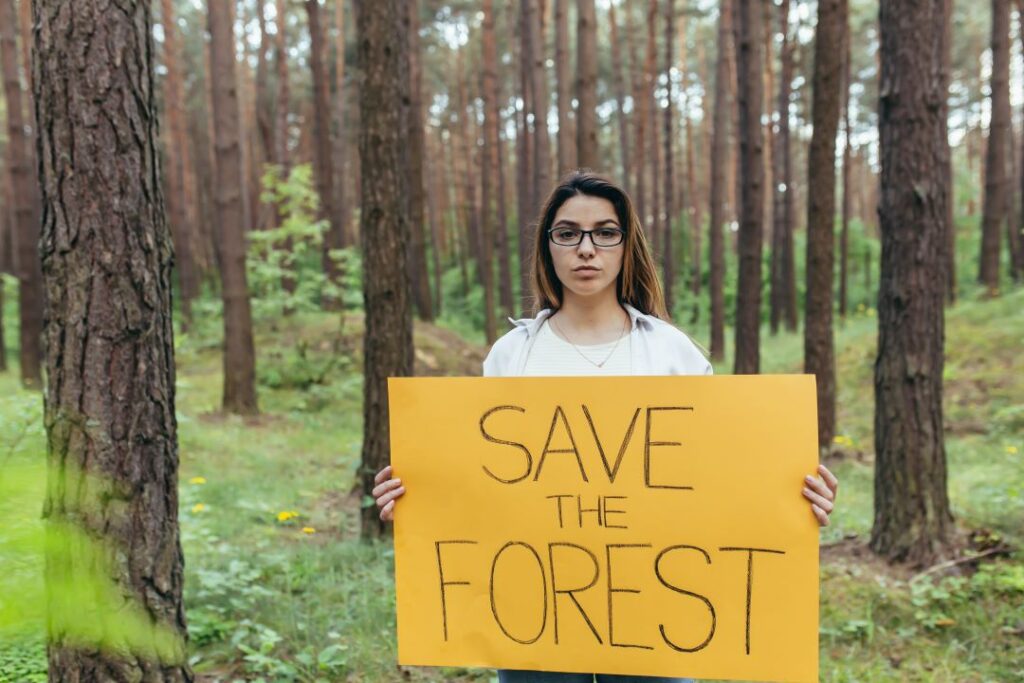 Create positive environmental Impact by saving the forest.